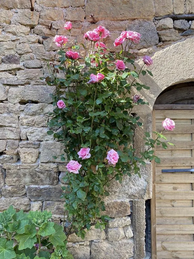 Charmante Maison Calme Et Agreable Lunel Saint-Felix-de-Lunel